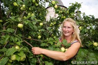 Каков садовник,  таковы и яблочки